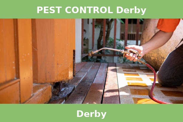 PEST CONTROL Derby